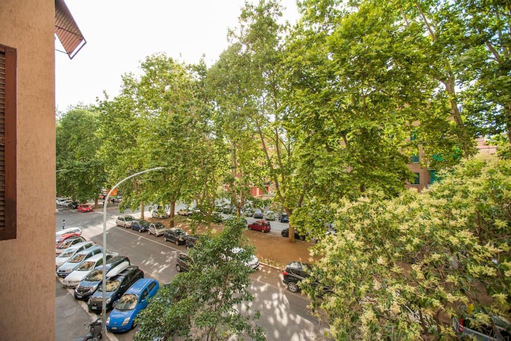 Great In Great Location Apartment