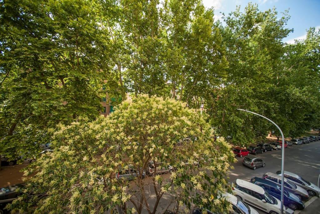 Great In Great Location Apartment